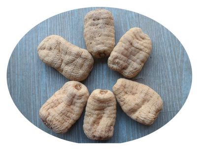 雷山縣烏桿天麻種植標準化示范區(qū)建設