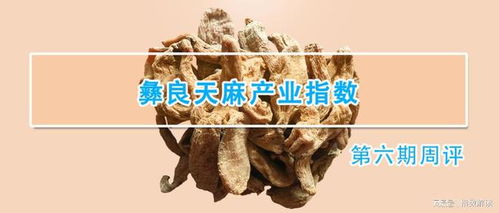 彝良天麻產業(yè)指數(shù)第六期周評