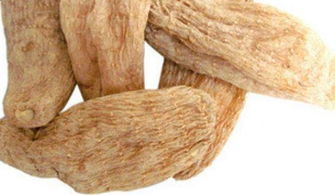 農村致富養(yǎng)殖