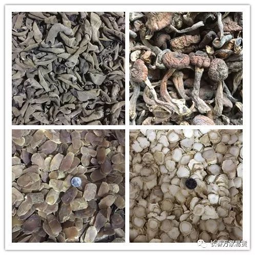 長春萬家易貨 最新易貨